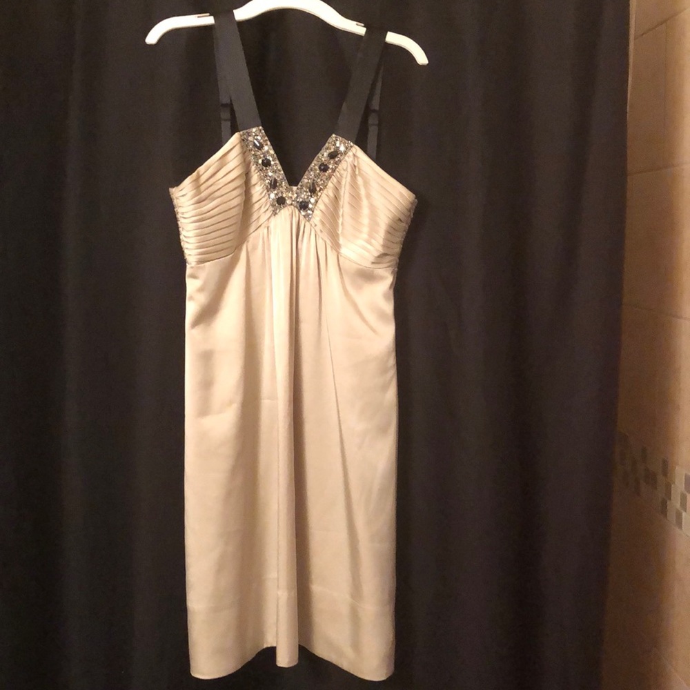 BCBG Maxazria Petite Dress